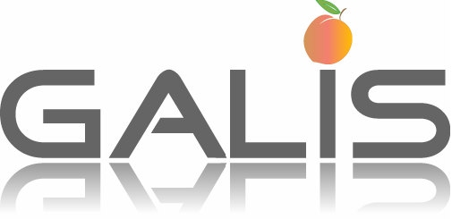 GALIS Georgia Adult Learnser Information System
